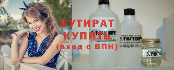 индика Абаза
