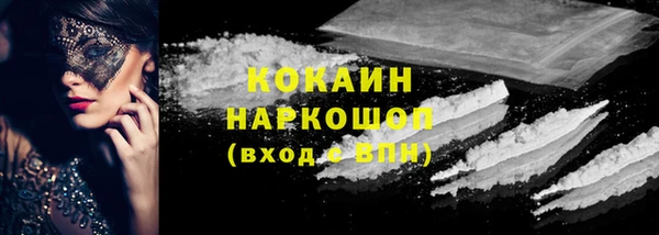 индика Абаза