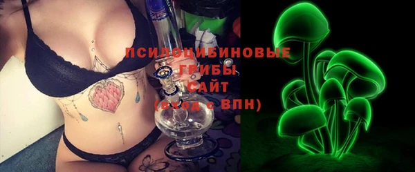 индика Абаза