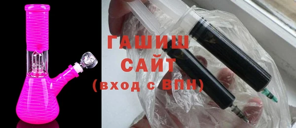 индика Абаза