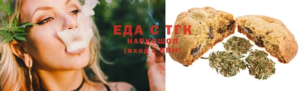 индика Абаза