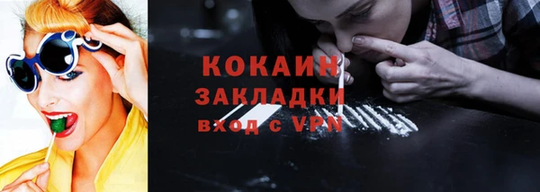 индика Абаза