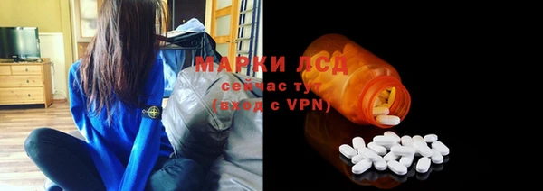индика Абаза