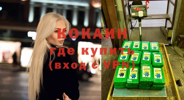 индика Абаза