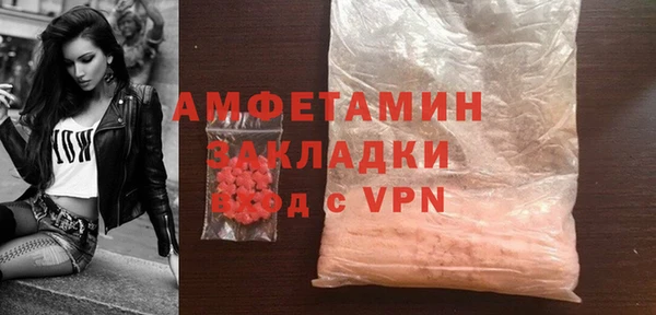 индика Абаза
