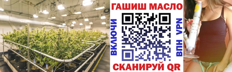 ТГК концентрат цены Зеленогорск