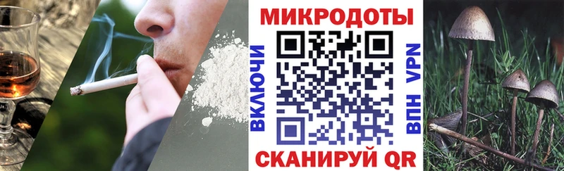 Псилоцибиновые грибы GOLDEN TEACHER Зеленогорск
