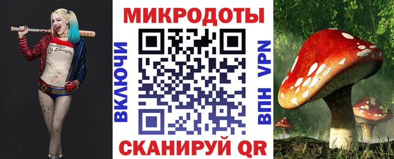 Псилоцибиновые грибы GOLDEN TEACHER  Зеленогорск 
